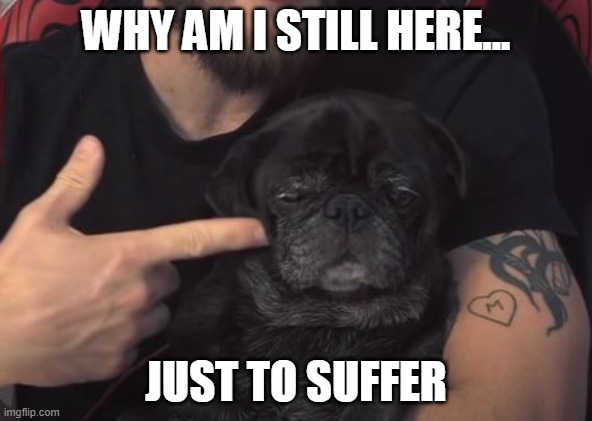 Edgar at Gunpoint | WHY AM I STILL HERE... JUST TO SUFFER | image tagged in edgar at gun point | made w/ Imgflip meme maker