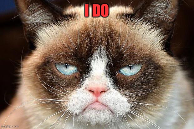 Grumpy Cat Not Amused Meme | I DO | image tagged in memes,grumpy cat not amused,grumpy cat | made w/ Imgflip meme maker