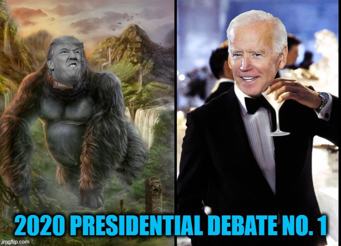 Mis-Match of the Century | 2020 PRESIDENTIAL DEBATE NO. 1 | image tagged in debate,presidential debate,trump,biden,vote | made w/ Imgflip meme maker