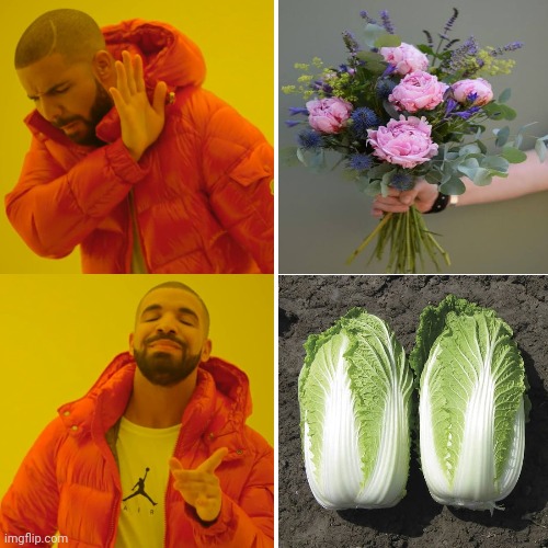 Drake Hotline Bling Meme | image tagged in memes,drake hotline bling | made w/ Imgflip meme maker