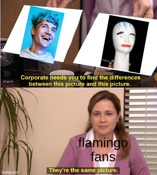 yoink haha sister | flamingo fans | image tagged in memes,they're the same picture | made w/ Imgflip meme maker