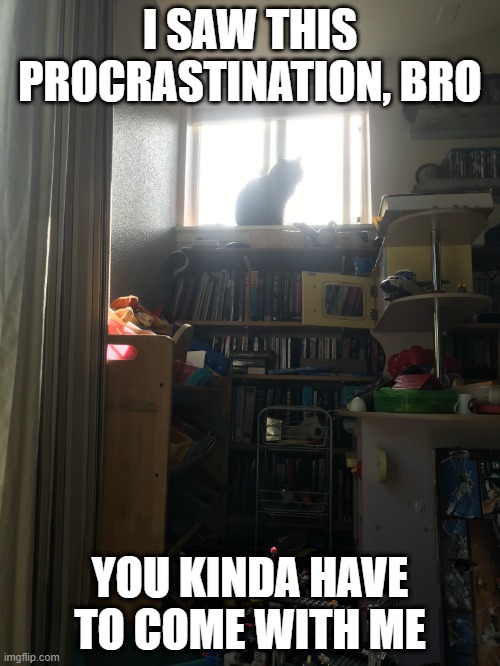Demon cat | I SAW THIS PROCRASTINATION, BRO; YOU KINDA HAVE TO COME WITH ME | image tagged in demon cat,memes,evil cat,meme,cats,demons | made w/ Imgflip meme maker