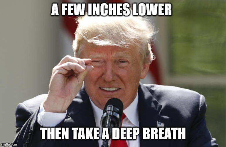 trump-tiny-measurement | A FEW INCHES LOWER THEN TAKE A DEEP BREATH | image tagged in trump-tiny-measurement | made w/ Imgflip meme maker