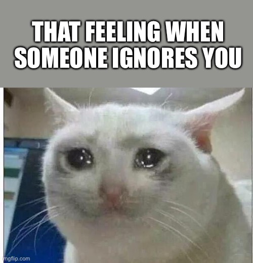 That feeling... | THAT FEELING WHEN SOMEONE IGNORES YOU | image tagged in crying cat | made w/ Imgflip meme maker