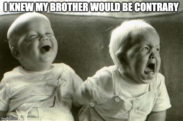 HappySadBabies | I KNEW MY BROTHER WOULD BE CONTRARY | image tagged in happysadbabies | made w/ Imgflip meme maker