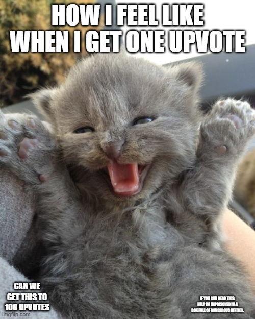 Yay Kitty | HOW I FEEL LIKE WHEN I GET ONE UPVOTE; CAN WE GET THIS TO 100 UPVOTES; IF YOU CAN READ THIS, HELP IM IMPRISONED IN A BOX FULL OF DANGEROUS KITTIES. | image tagged in yay kitty | made w/ Imgflip meme maker