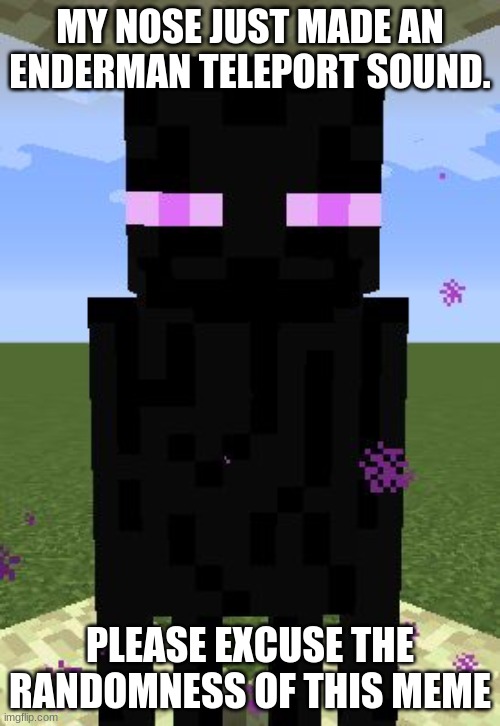 Plugged noses aren't always bad. | MY NOSE JUST MADE AN ENDERMAN TELEPORT SOUND. PLEASE EXCUSE THE RANDOMNESS OF THIS MEME | image tagged in enderman,nose noise | made w/ Imgflip meme maker