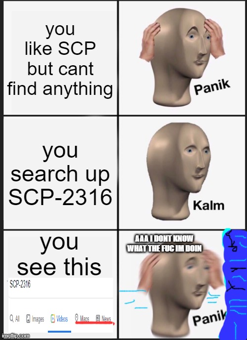 But Why? | you like SCP but cant find anything; you search up SCP-2316; you see this; AAA I DONT KNOW WHAT THE FUC IM DOIN | image tagged in memes,panik kalm panik | made w/ Imgflip meme maker