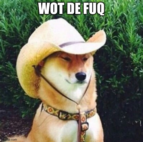 Wot in Tarnation Dog | WOT DE FUQ | image tagged in wot in tarnation dog | made w/ Imgflip meme maker