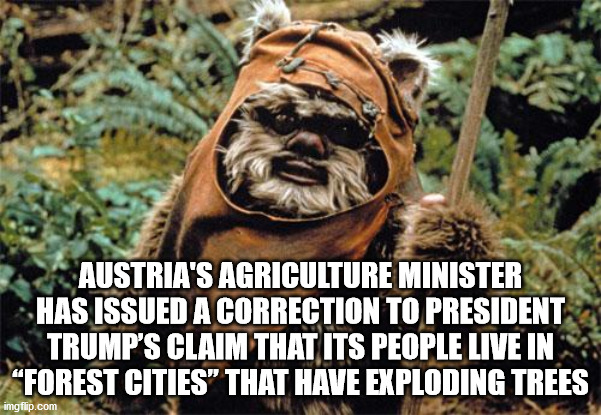 forest cities | AUSTRIA'S AGRICULTURE MINISTER HAS ISSUED A CORRECTION TO PRESIDENT TRUMP’S CLAIM THAT ITS PEOPLE LIVE IN “FOREST CITIES” THAT HAVE EXPLODING TREES | image tagged in ewok,trump,presidential debate,forest fire,california fires,star wars | made w/ Imgflip meme maker