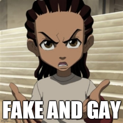 Fake & Gay | FAKE AND GAY | image tagged in riley freeman,the boondocks | made w/ Imgflip meme maker