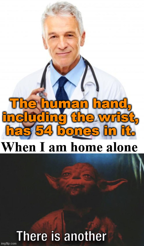 The human hand, including the wrist, has 54 bones in it. When I am home alone | image tagged in doctor,there is another | made w/ Imgflip meme maker