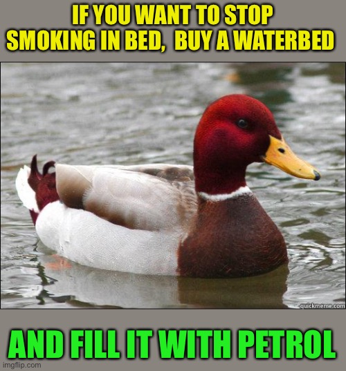 make actual bad advice mallard | IF YOU WANT TO STOP SMOKING IN BED,  BUY A WATERBED; AND FILL IT WITH PETROL | image tagged in make actual bad advice mallard,stop smoking,immolation,bad habits,dark humor,burn | made w/ Imgflip meme maker