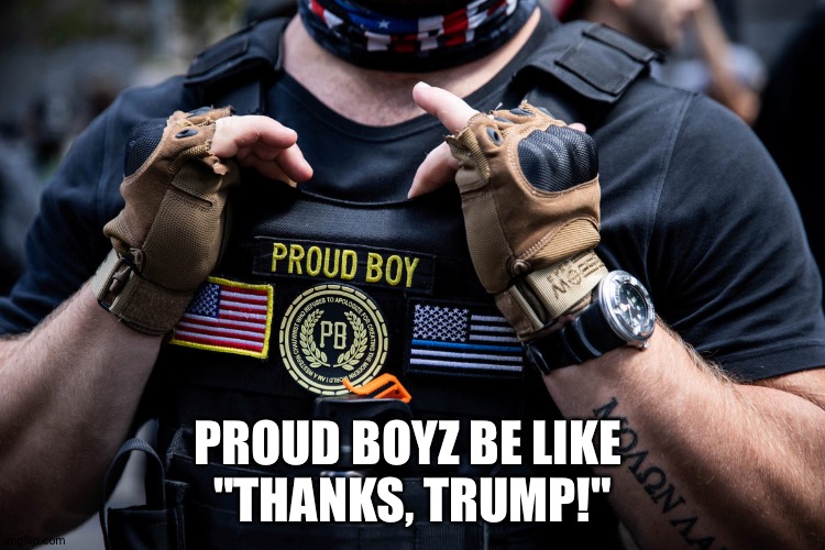 A ringing endorsement | PROUD BOYZ BE LIKE 
"THANKS, TRUMP!" | image tagged in proud boy | made w/ Imgflip meme maker