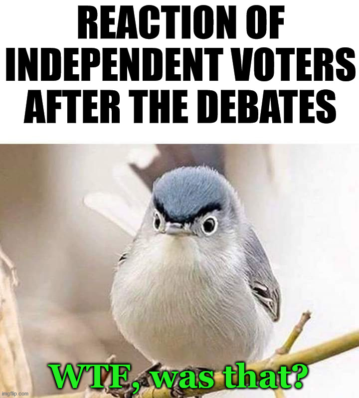 Like most elections, people hear what they want and independents are left wondering which 3rd party do I support. | REACTION OF INDEPENDENT VOTERS AFTER THE DEBATES; WTF, was that? | image tagged in presidential debate,independent,voters | made w/ Imgflip meme maker