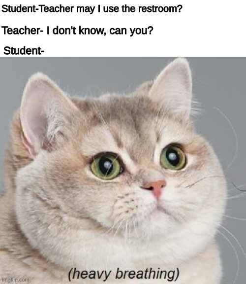 Heavy Breathing Cat | Student-Teacher may I use the restroom? Teacher- I don't know, can you? Student- | image tagged in memes,heavy breathing cat | made w/ Imgflip meme maker