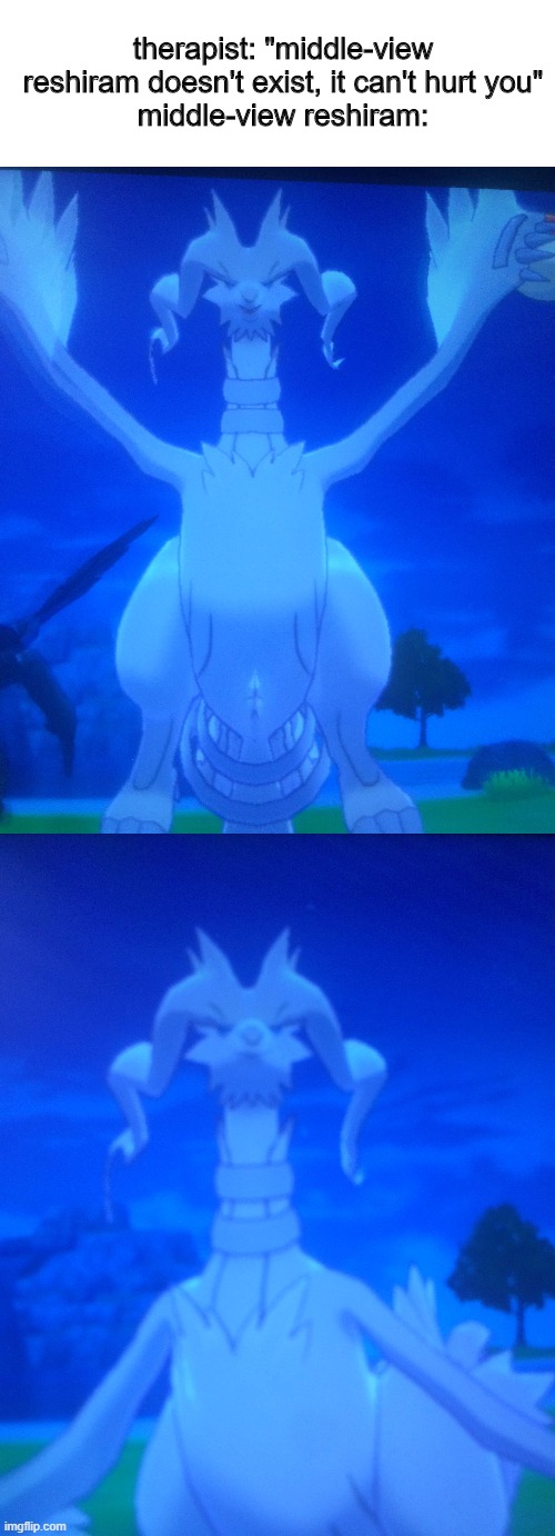 sorry for the bad quality but reshiram cute ngl - decided to post in this stream idk | therapist: "middle-view reshiram doesn't exist, it can't hurt you"
middle-view reshiram: | image tagged in pokemon,pokemon memes,reshiram,memes,unfunny,bad quality | made w/ Imgflip meme maker