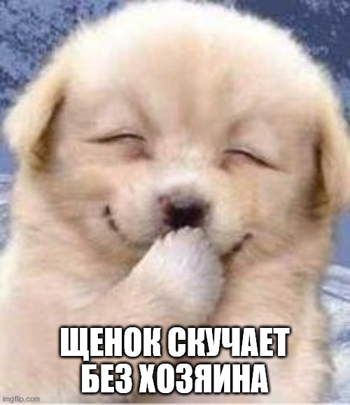 Smiling Puppy | ЩЕНОК СКУЧАЕТ БЕЗ ХОЗЯИНА | image tagged in smiling puppy | made w/ Imgflip meme maker