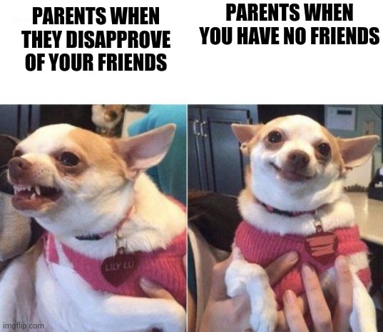 angry chihuahua happy chihuahua | PARENTS WHEN YOU HAVE NO FRIENDS; PARENTS WHEN THEY DISAPPROVE OF YOUR FRIENDS | image tagged in angry chihuahua happy chihuahua | made w/ Imgflip meme maker