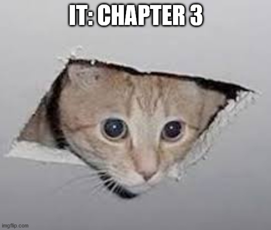 ceiling cat | IT: CHAPTER 3 | image tagged in memes,cats | made w/ Imgflip meme maker
