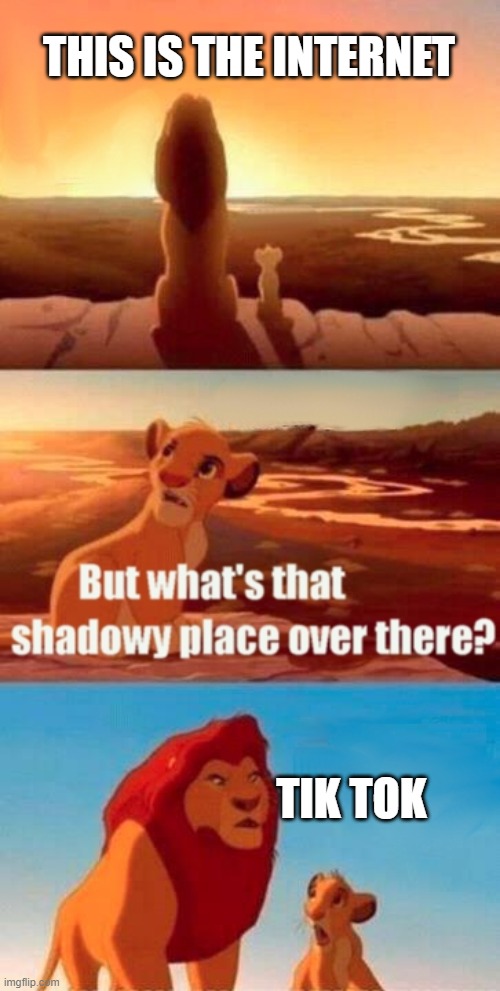 Simba Shadowy Place Meme | THIS IS THE INTERNET; TIK TOK | image tagged in memes,simba shadowy place | made w/ Imgflip meme maker