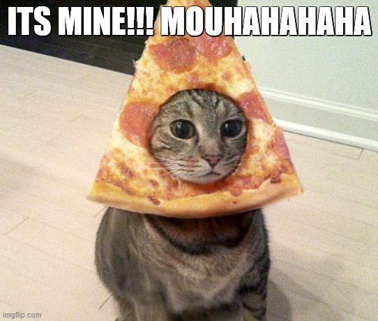 pizza cat | ITS MINE!!! MOUHAHAHAHA | image tagged in pizza cat | made w/ Imgflip meme maker