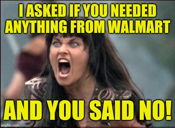 Angry Xena | I ASKED IF YOU NEEDED ANYTHING FROM WALMART AND YOU SAID NO! | image tagged in angry xena | made w/ Imgflip meme maker
