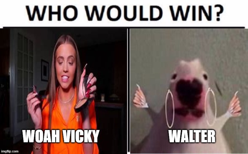 who would win | image tagged in memes,walter,funny,lol,bruh,who would win | made w/ Imgflip meme maker