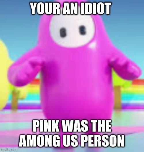 omg pink was the imposter | YOUR AN IDIOT; PINK WAS THE AMONG US PERSON | image tagged in funny | made w/ Imgflip meme maker