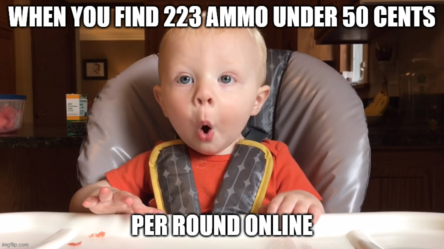 ammo | WHEN YOU FIND 223 AMMO UNDER 50 CENTS; PER ROUND ONLINE | image tagged in ammo,223 store | made w/ Imgflip meme maker