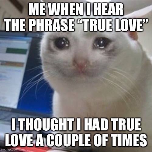 Crying cat | ME WHEN I HEAR THE PHRASE “TRUE LOVE” I THOUGHT I HAD TRUE LOVE A COUPLE OF TIMES | image tagged in crying cat | made w/ Imgflip meme maker