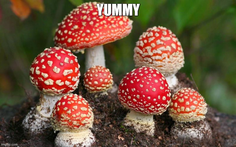 YUMMY | made w/ Imgflip meme maker