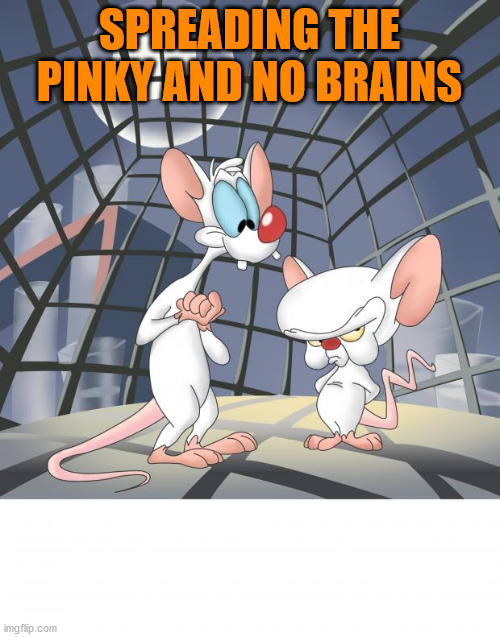 Pinky and the brain | SPREADING THE PINKY AND NO BRAINS | image tagged in pinky and the brain | made w/ Imgflip meme maker