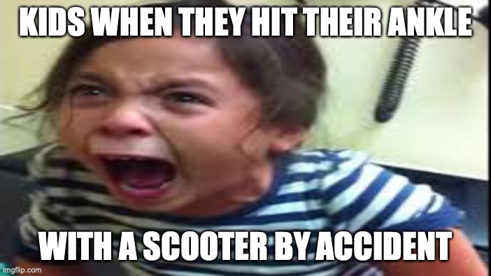fun | KIDS WHEN THEY HIT THEIR ANKLE; WITH A SCOOTER BY ACCIDENT | image tagged in memes | made w/ Imgflip meme maker