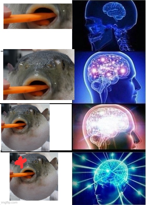pufferfish go jojo | image tagged in memes,expanding brain | made w/ Imgflip meme maker