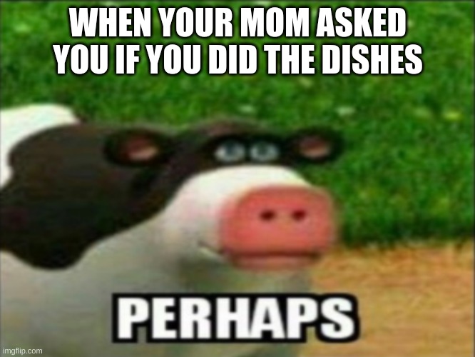 WHEN YOUR MOM ASKED YOU IF YOU DID THE DISHES | image tagged in memes,funny | made w/ Imgflip meme maker