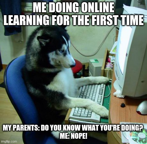 I Have No Idea What I Am Doing | ME DOING ONLINE LEARNING FOR THE FIRST TIME; MY PARENTS: DO YOU KNOW WHAT YOU'RE DOING? 
ME: NOPE! | image tagged in memes,i have no idea what i am doing | made w/ Imgflip meme maker
