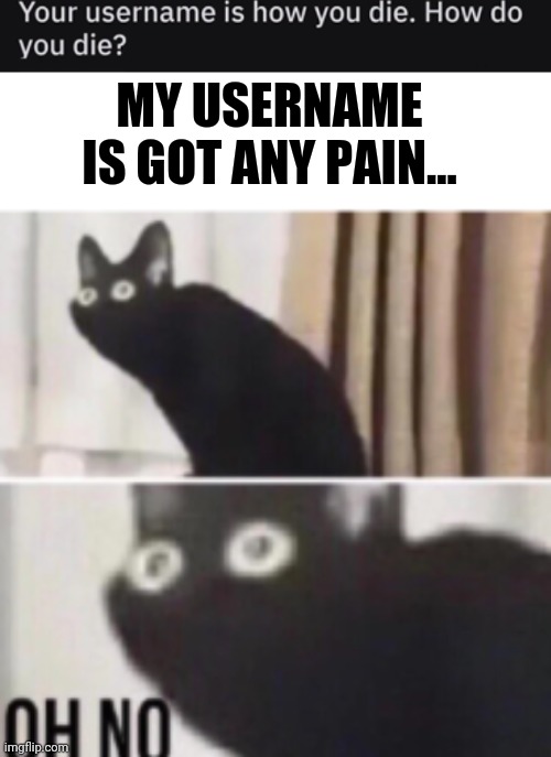 I will feel the pain | MY USERNAME IS GOT ANY PAIN... | image tagged in oh no cat,how do you die,gotanypain | made w/ Imgflip meme maker