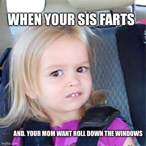 ehhhh???? | WHEN YOUR SIS FARTS; AND. YOUR MOM WANT ROLL DOWN THE WINDOWS | image tagged in ehhhh | made w/ Imgflip meme maker