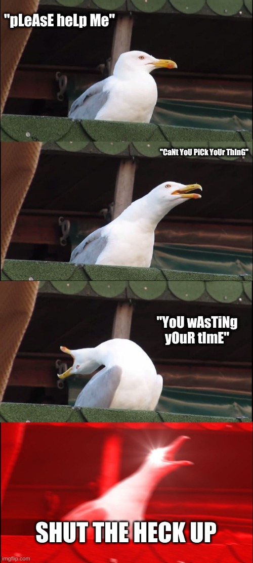ooh | "pLeAsE heLp Me"; "CaNt YoU PiCk YoUr ThInG"; "YoU wAsTiNg yOuR tImE"; SHUT THE HECK UP | image tagged in memes,inhaling seagull | made w/ Imgflip meme maker