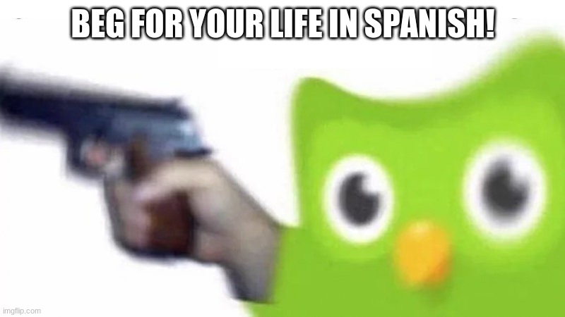 duolingo gun | BEG FOR YOUR LIFE IN SPANISH! | image tagged in duolingo gun | made w/ Imgflip meme maker