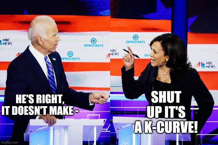 Kamala Harris Attacks Joe Biden | HE'S RIGHT, IT DOESN'T MAKE - SHUT UP IT'S A K-CURVE! | image tagged in kamala harris attacks joe biden | made w/ Imgflip meme maker
