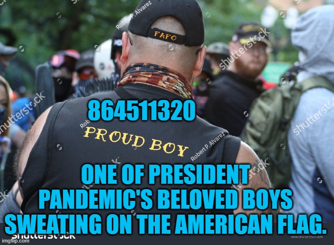 President Pandemic's Favorite Losers | 864511320; ONE OF PRESIDENT PANDEMIC'S BELOVED BOYS SWEATING ON THE AMERICAN FLAG. | image tagged in politics | made w/ Imgflip meme maker