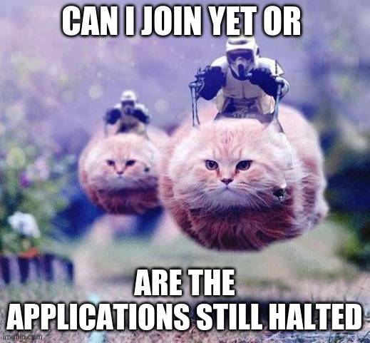 Storm Trooper Cats | CAN I JOIN YET OR; ARE THE APPLICATIONS STILL HALTED | image tagged in storm trooper cats | made w/ Imgflip meme maker