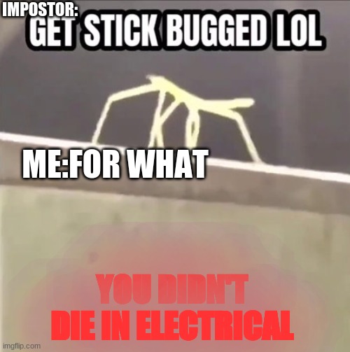 Get stick bugged lol | IMPOSTOR:; ME:FOR WHAT; YOU DIDN'T DIE IN ELECTRICAL | image tagged in get stick bugged lol | made w/ Imgflip meme maker