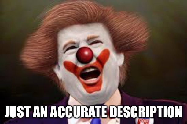 Trump clown | JUST AN ACCURATE DESCRIPTION | image tagged in trump clown | made w/ Imgflip meme maker