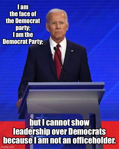 WTF?!  No one in charge!  Except Antifa & BLM | I am the face of the Democrat party; I am the Democrat Party;; but I cannot show leadership over Democrats because I am not an officeholder. | image tagged in joe biden,1st debate,leadership,law and order,phone call,portland | made w/ Imgflip meme maker