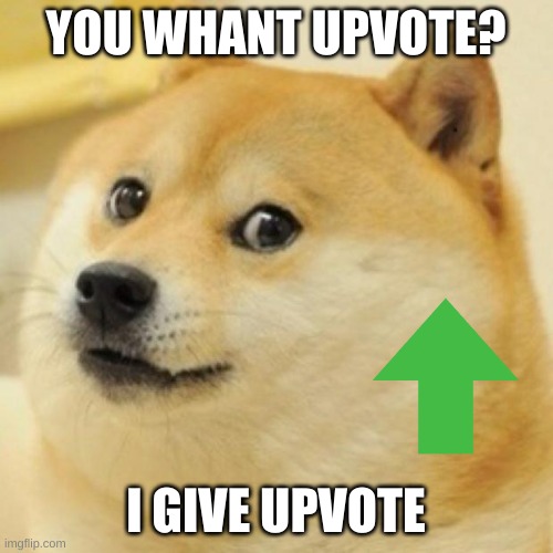 wow doge | YOU WHANT UPVOTE? I GIVE UPVOTE | image tagged in wow doge | made w/ Imgflip meme maker