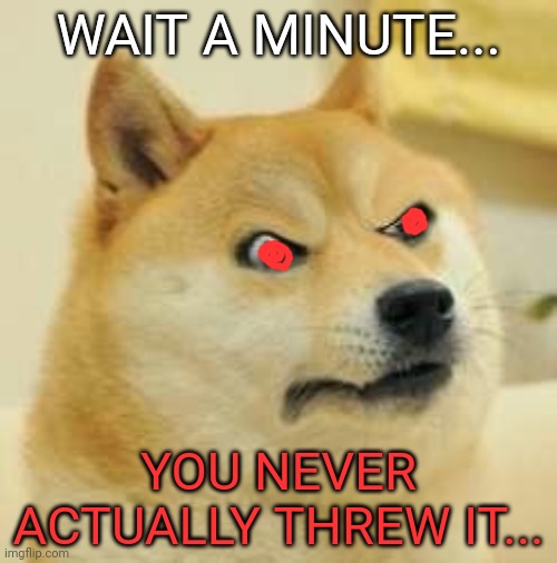 angry doge | WAIT A MINUTE... YOU NEVER ACTUALLY THREW IT... | image tagged in angry doge | made w/ Imgflip meme maker