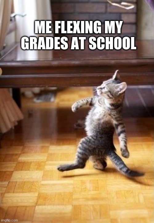 Cool Cat Stroll | ME FLEXING MY GRADES AT SCHOOL | image tagged in memes,cool cat stroll | made w/ Imgflip meme maker